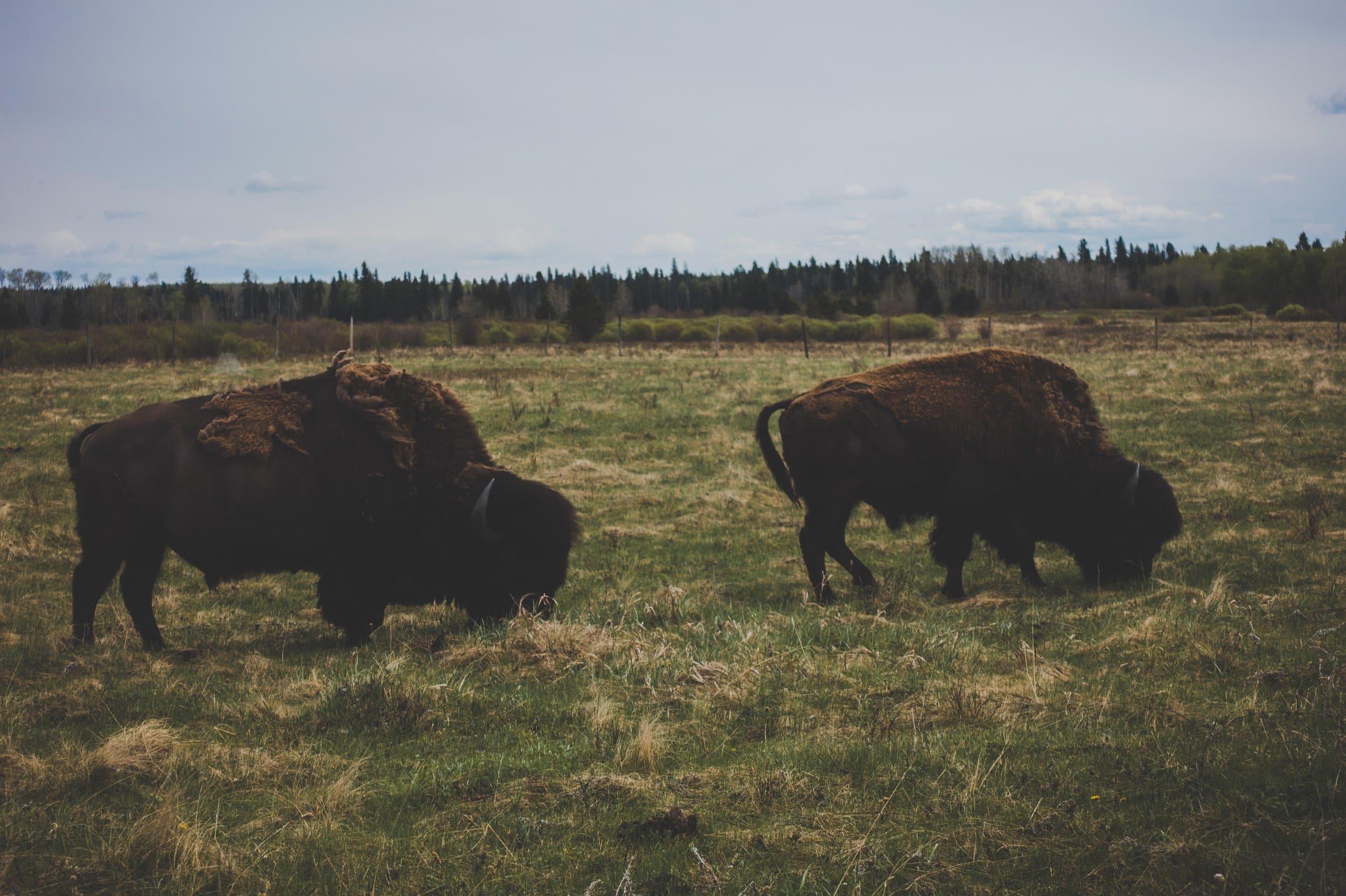 Date night | GoodDoors Property Management