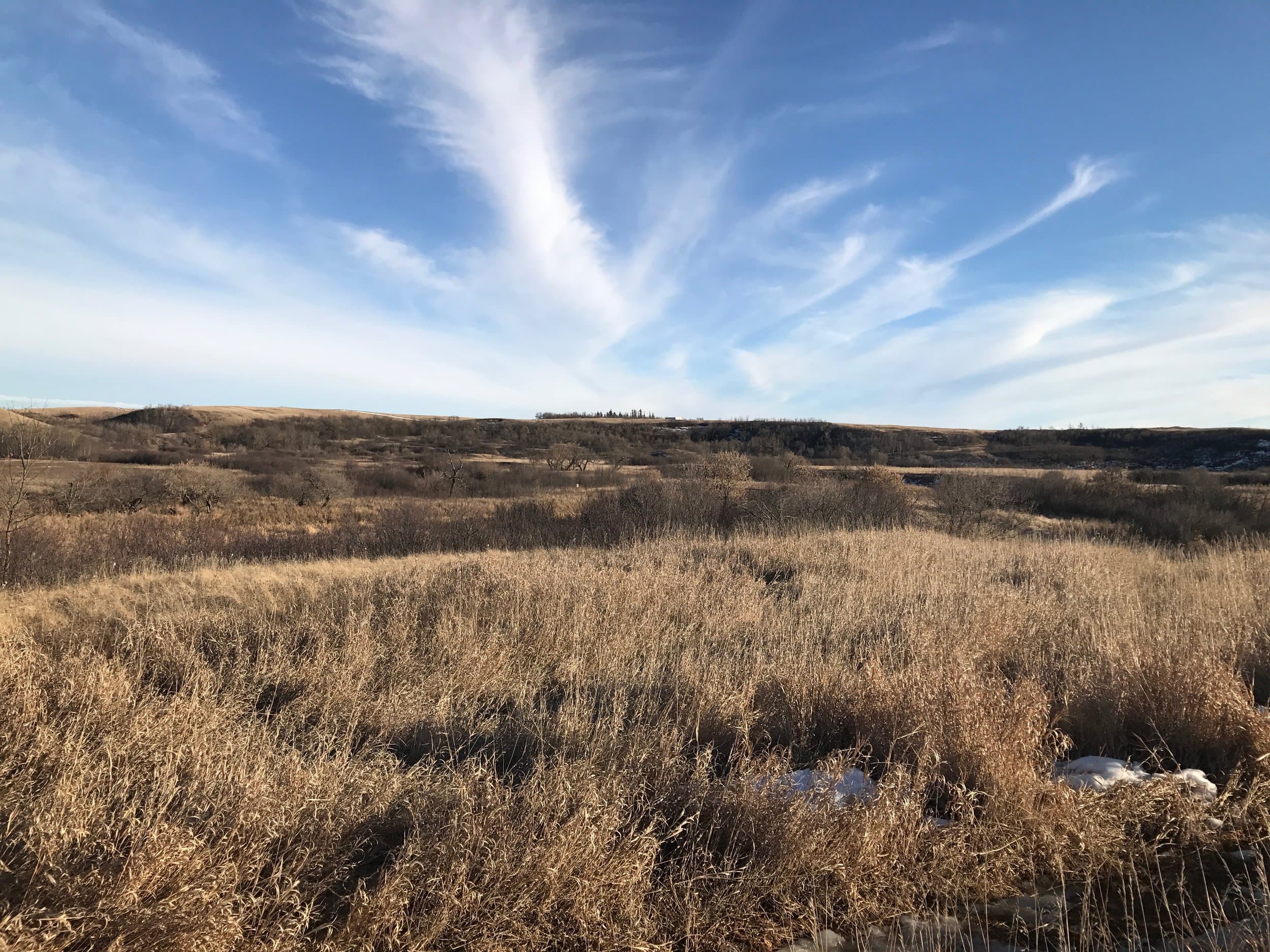 Hiking Trails - Wascana Valley Trails