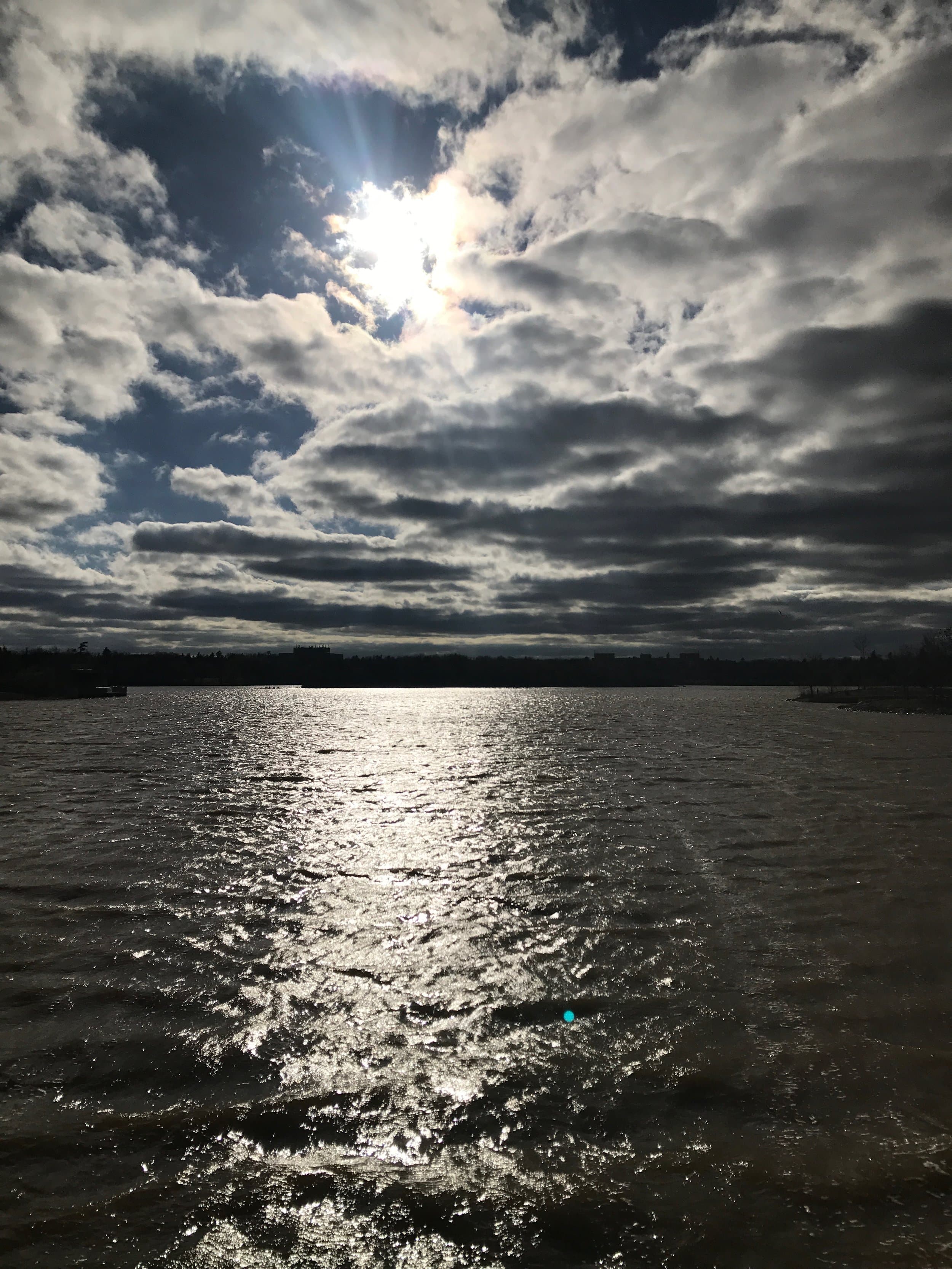 Summer events in Regina