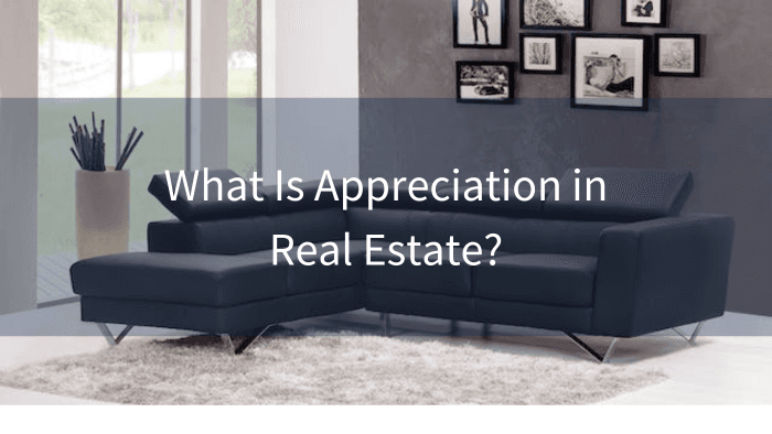 Meaning of Appreciation in Real Estate