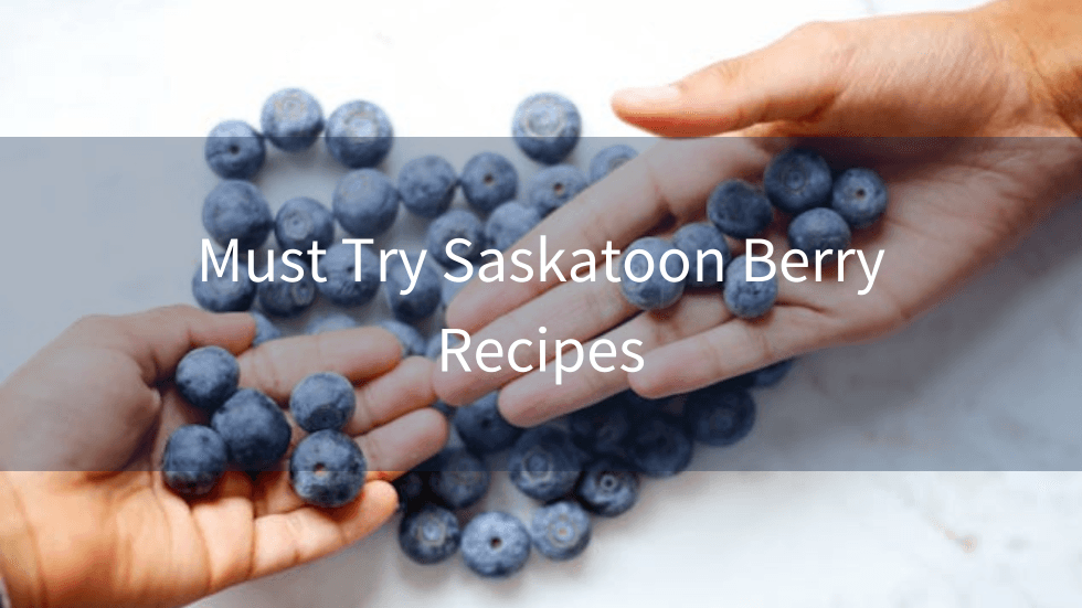 Best Saskatoon Berry Recipes