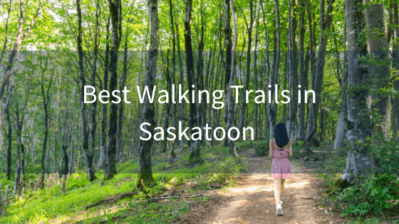Saskatoon’s Best Walking Trails