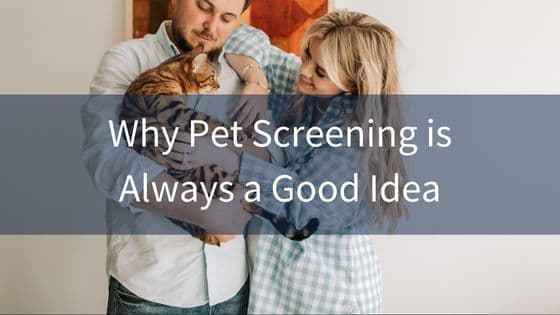 The Importance of Conducting Pet Screenings