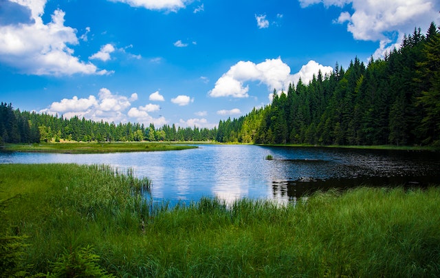a saskatchewan lake reflecting a bright blue sky and flanked by trees on a summer day