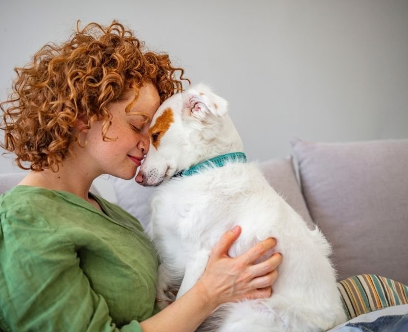 allowing pets regina