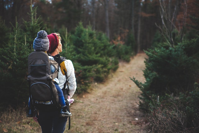 an adult in a cableknit sweater hikes on a wooded bath with a child on their back in a carrier