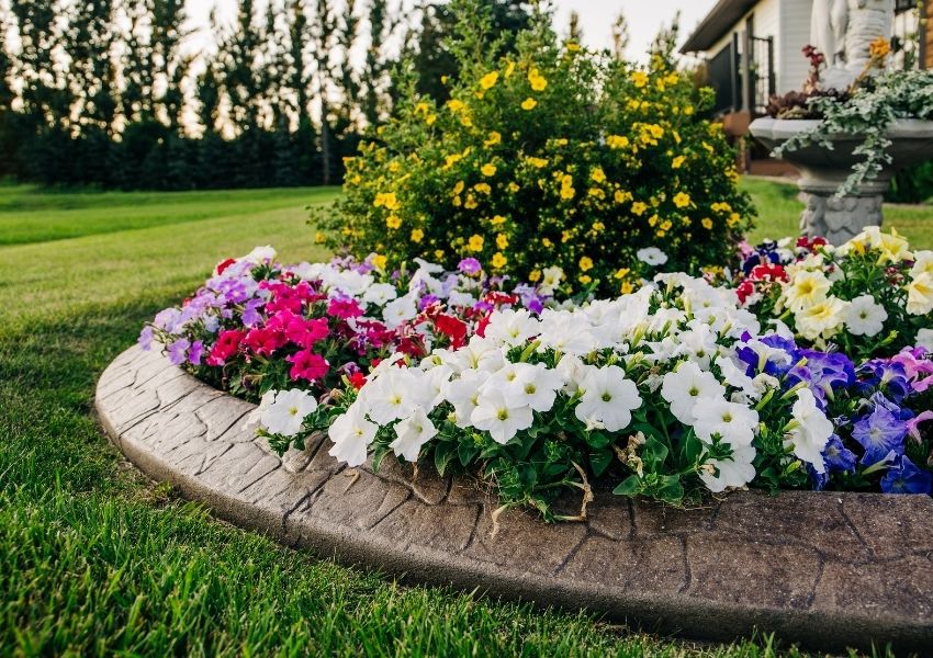 landscaping tips