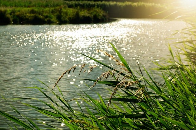 saskatoon landscape