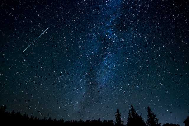 the milky way vibrantly shines over a row of pine trees and a shooting star streams across the sky