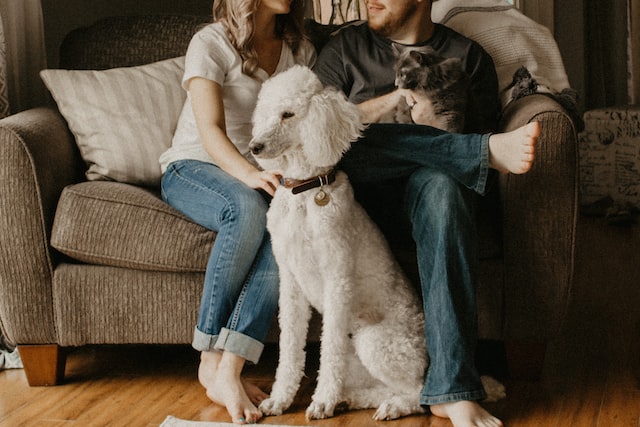 two tenant sitting on a couch with their white poodle and a grey cat